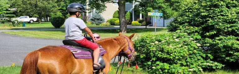 Empowering the Spectrum: GRS CORP’s Journey in Creating Opportunities for Autism
