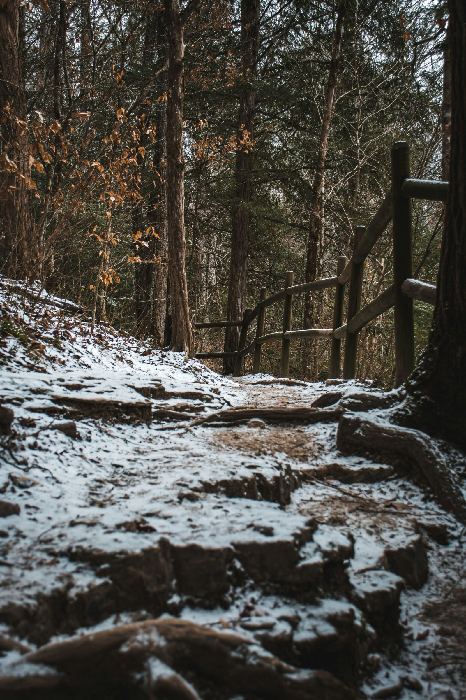 a path in the woods covered in snow